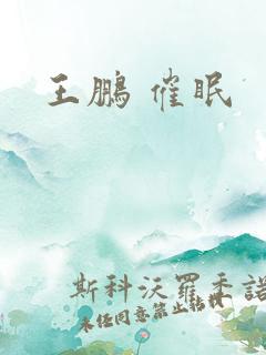 王鹏 催眠