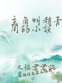 主角叫赵青和老周的小说