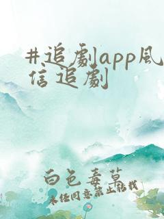#追剧app风信追剧