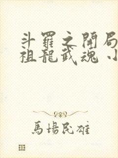 斗罗之开局签到祖龙武魂 小说