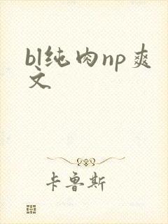 bl纯肉np爽文 bl纯肉np爽文