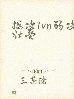 总攻1vn弱攻壮受