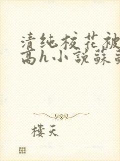 清纯校花被脔哭高h小说苏苏
