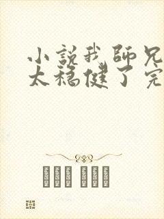 小说我师兄实在太稳健了完本txt