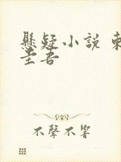 悬疑小说 东野圭吾