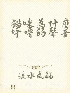 猫咪为什么呼噜呼噜的声音