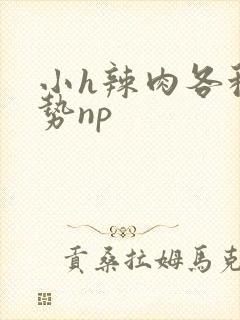 小h辣肉各种姿势np