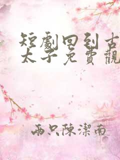 短剧回到古代当太子免费观看