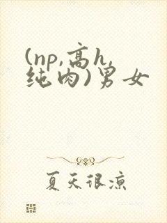 (np,高h,纯肉)男女
