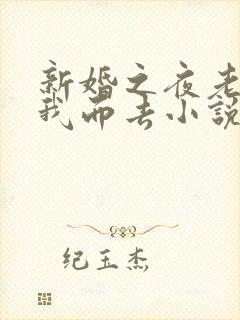 新婚之夜老婆弃我而去小说免费阅读