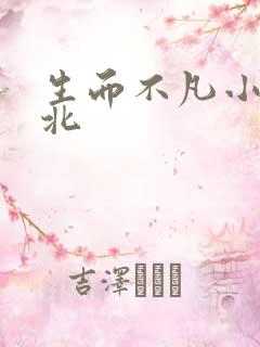 生而不凡小说林北