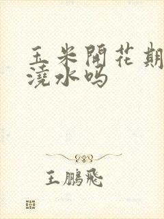 玉米开花期可以浇水吗