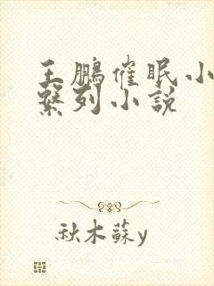 王鹏催眠小说系系列小说