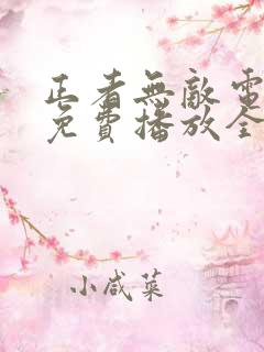 正者无敌电视剧免费播放全集