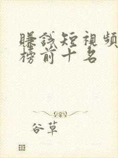 赚钱短视频排行榜前十名