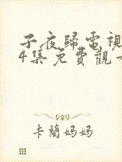 子夜归电视剧24集免费观看全集高清