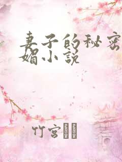 妻子的秘密江小媚小说