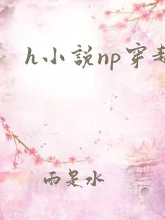 h小说np穿越