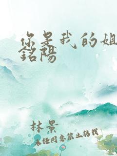 你是我的姐妹张铭阳