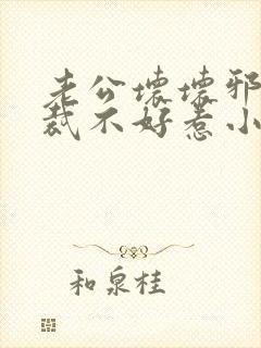老公坏坏邪魅总裁不好惹小说