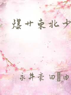 爆艹东北少妇