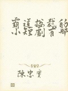 霸道总裁的甜宠小短剧有哪些