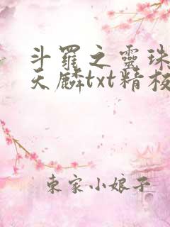 斗罗之灵珠神剑天麟txt精校无错版