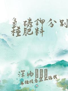 氮磷钾分别是哪种肥料