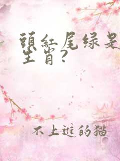 头红尾绿是什么生肖?