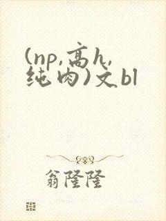 (np,高h,纯肉)文bl