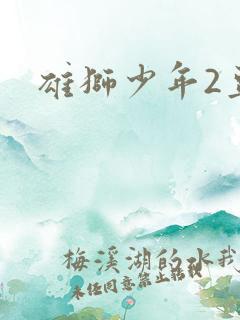 雄狮少年2豆瓣