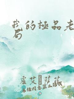 我的极品老婆结局