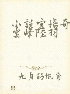 小说官场奇才刘云峰陆羽