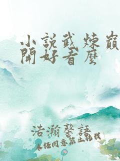 小说武炼巅峰杨开好看么