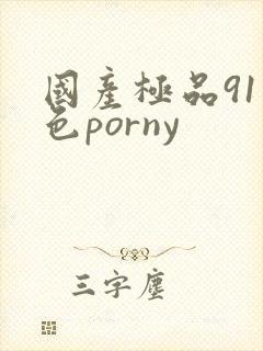 国产极品91九色porny