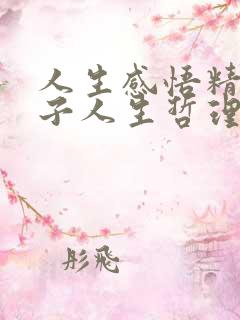 人生感悟精辟句子人生哲理
