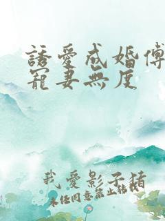 诱爱成婚傅先生宠妻无度