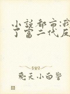 小说都市:我成了富二代反派小说