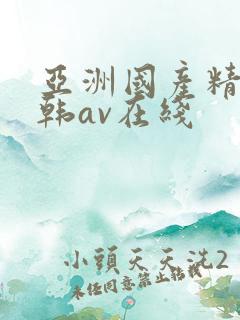 亚洲国产精品日韩av在线