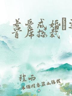 惹爱成婚·染指首席总裁