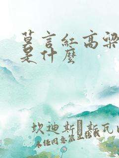莫言红高粱讲的是什么