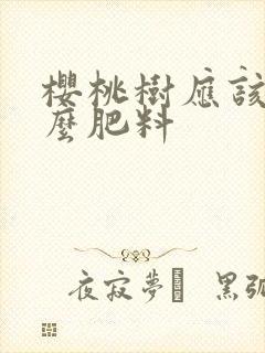 樱桃树应该上什么肥料