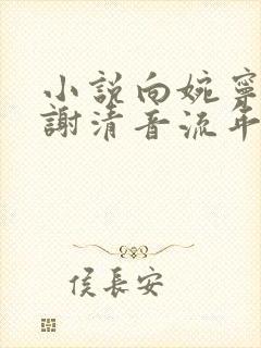 小说向婉宁顾辞谢清音流年落尽空白首在线 小说向婉宁顾辞谢清音流年落尽空白首在线