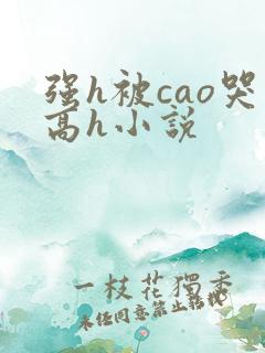 强h被cao哭高h小说