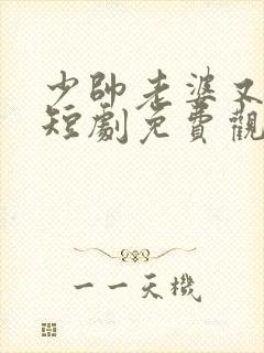 少帅老婆又跑了短剧免费观看高清