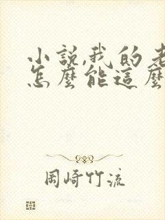 小说,我的老婆怎么能这么可爱?