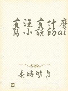 有没有什么专门写小说的ai软件?