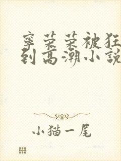 宁荣荣被狂c躁到高潮小说