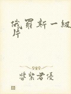 俄罗斯一级伦理片