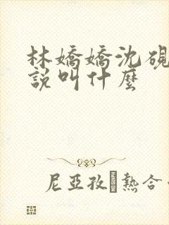 林娇娇沈砚川小说叫什么